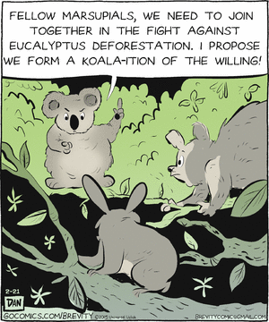 brevity